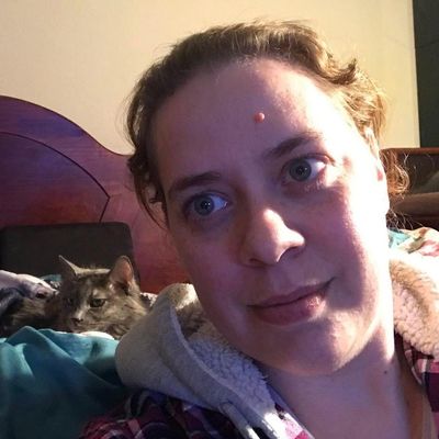 Avatar for Stephanie the Cat Sitter