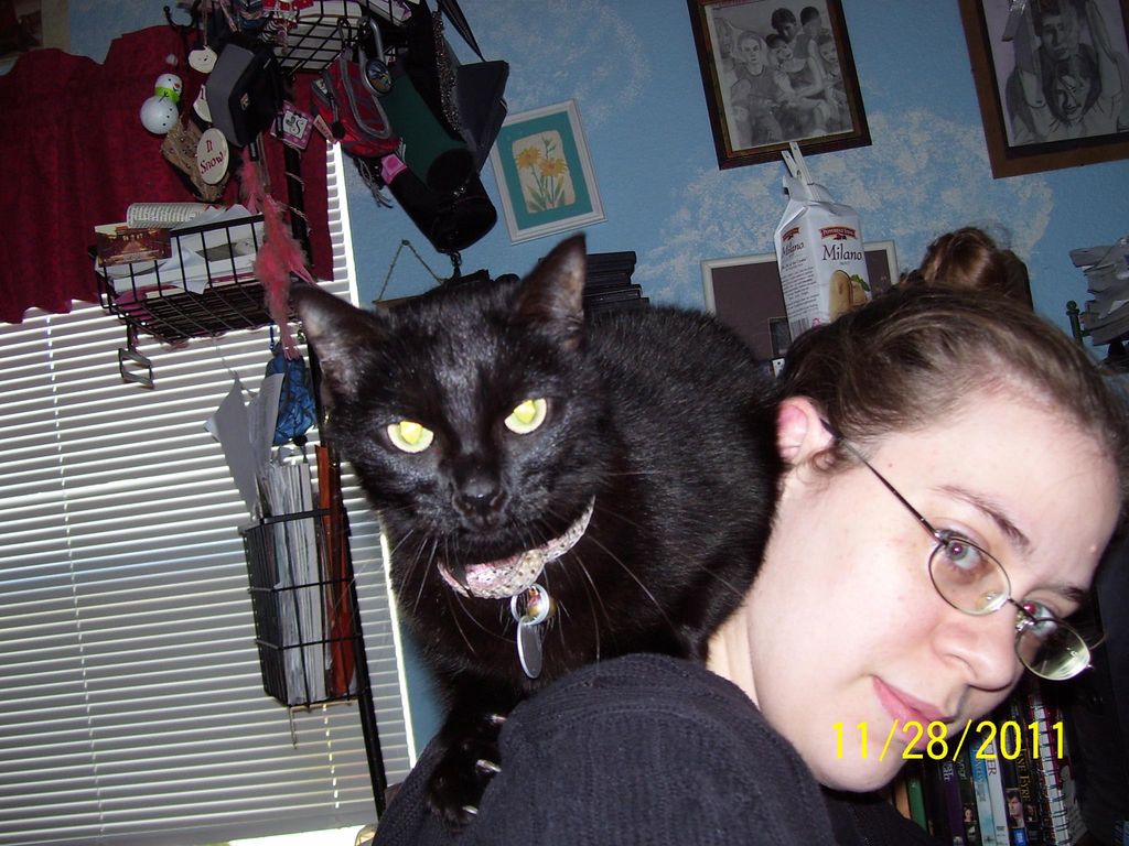 my litle girl was suddenly determined to sit on my