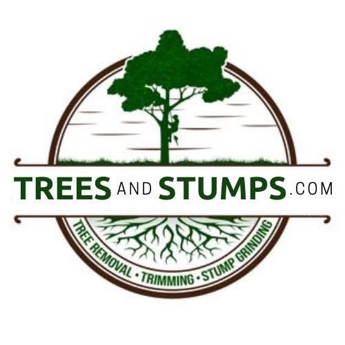 Trees And Stumps