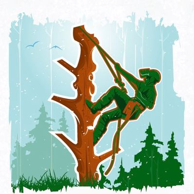 Avatar for Taylor’s tree and lawn