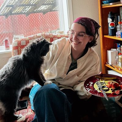 Avatar for Safe & Sound Pet Sitting