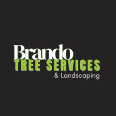 Avatar for Brando tree services