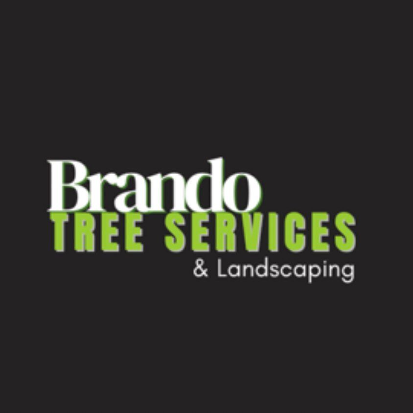 Brando tree services
