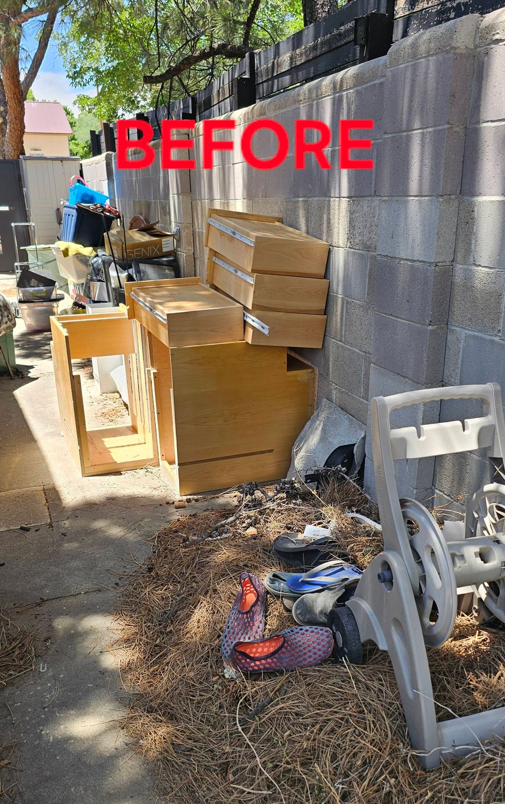 Projects and media