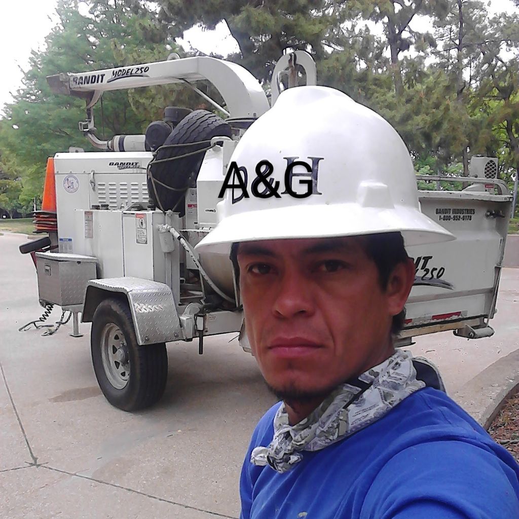 Alfredo's tree services