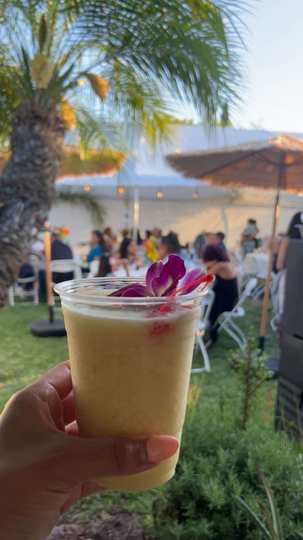 Piña colada 🍍