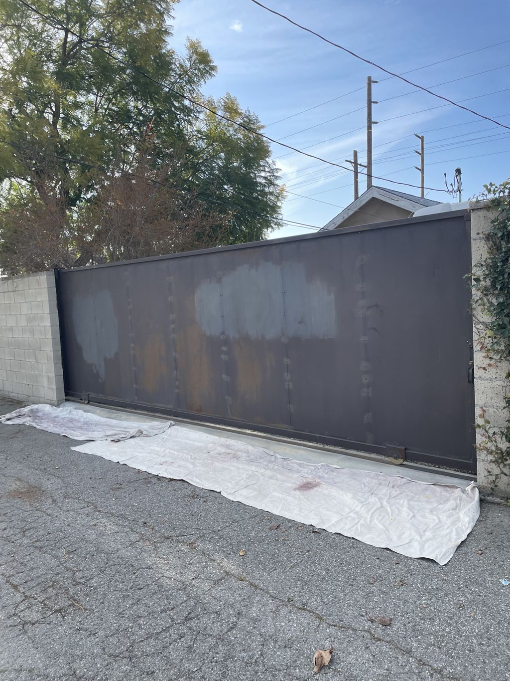 Projects and media