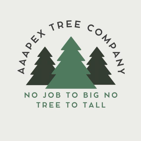 AAAPEX TREE COMPANY