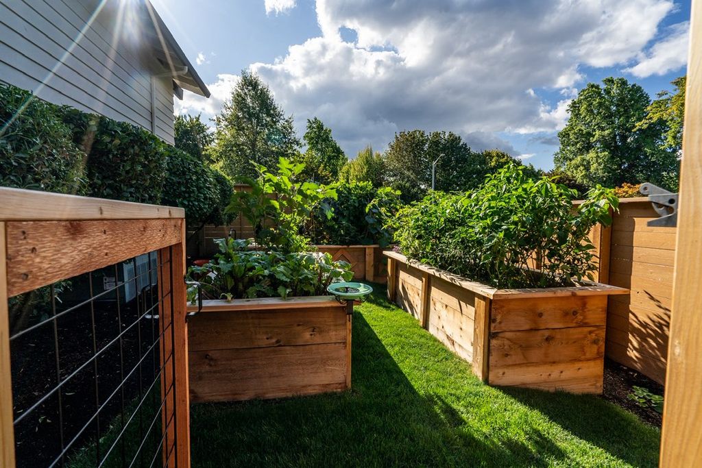 Custom cedar garden boxes