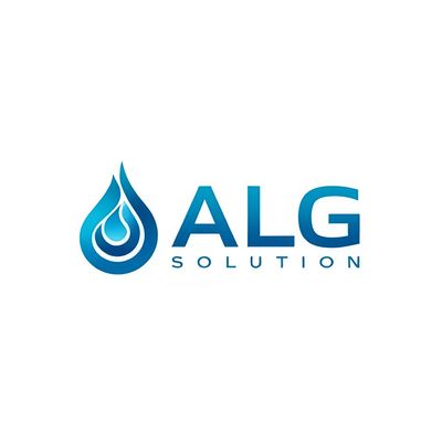 Avatar for ALG Solution