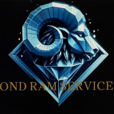 Avatar for Diamond Ram Services LLC