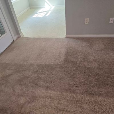 Avatar for North Point Carpet Cleaning