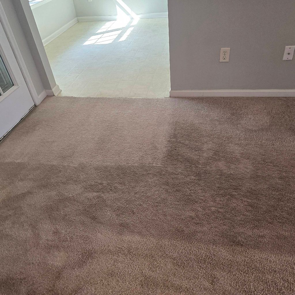 North Point Carpet Cleaning