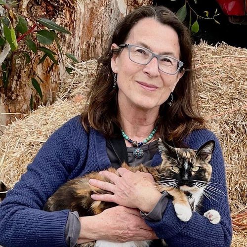 Teddy Charles Life Coach