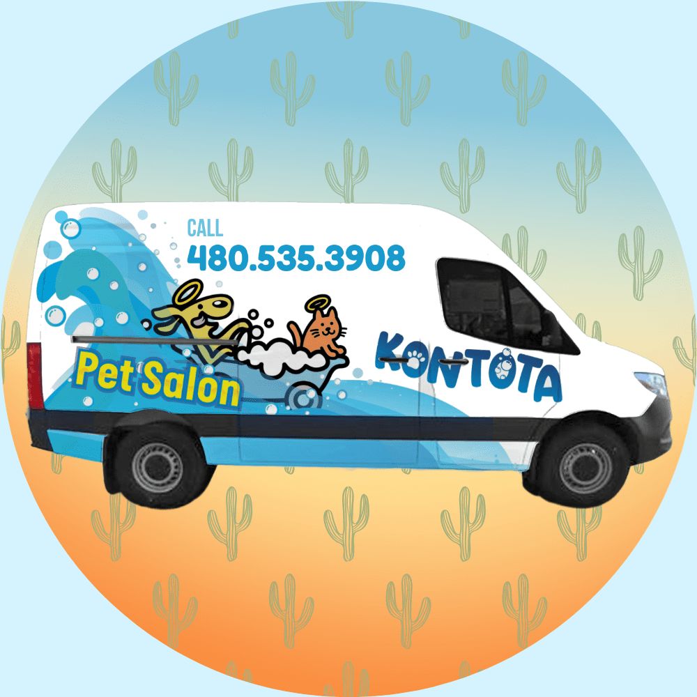 Kontota of Scottsdale