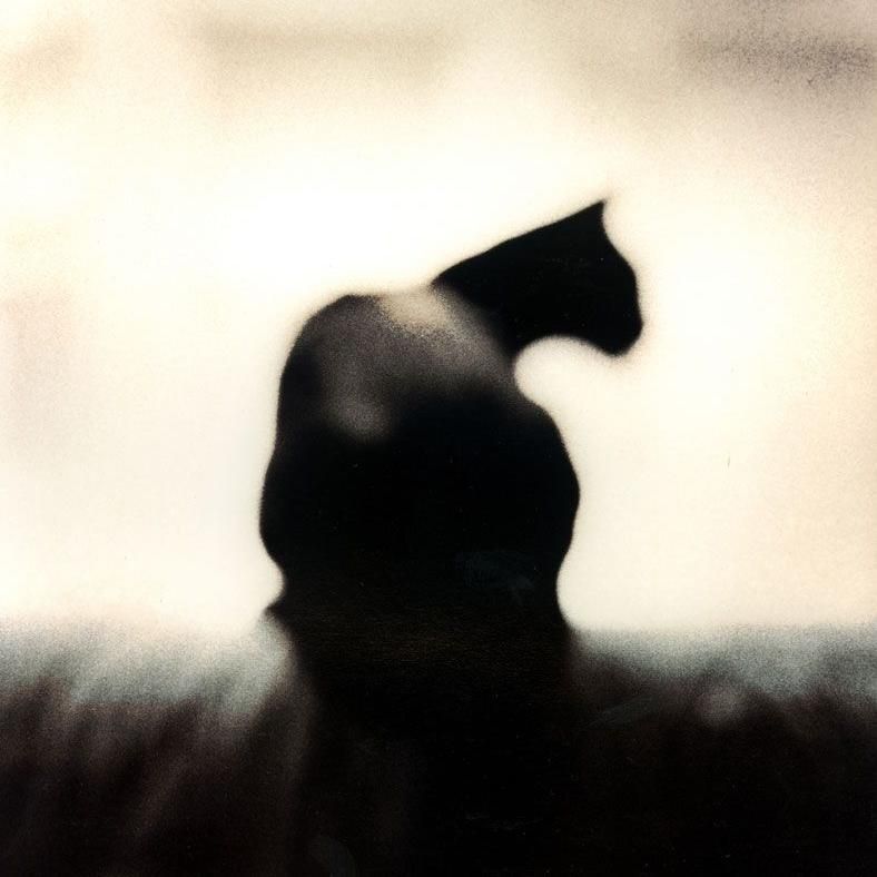 Chris Gaede Photography