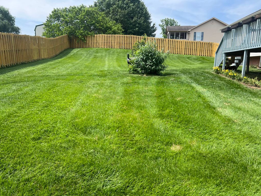 Customer photos