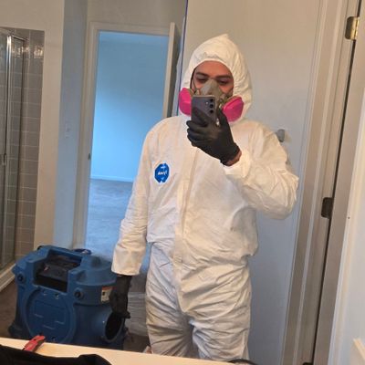 Avatar for A.R Restoration