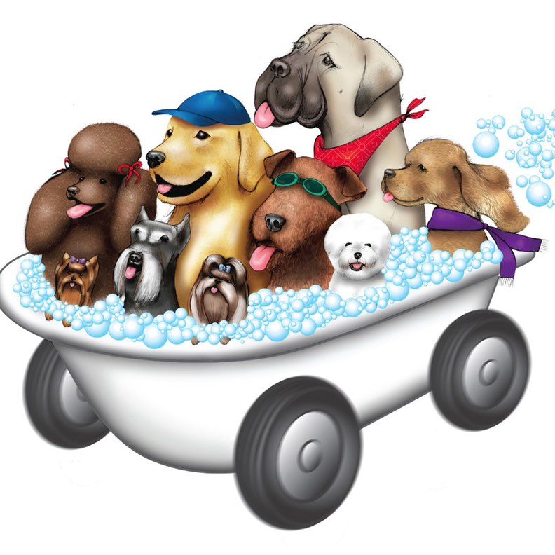 ✨Chester Mobile Grooming Pets 🚐