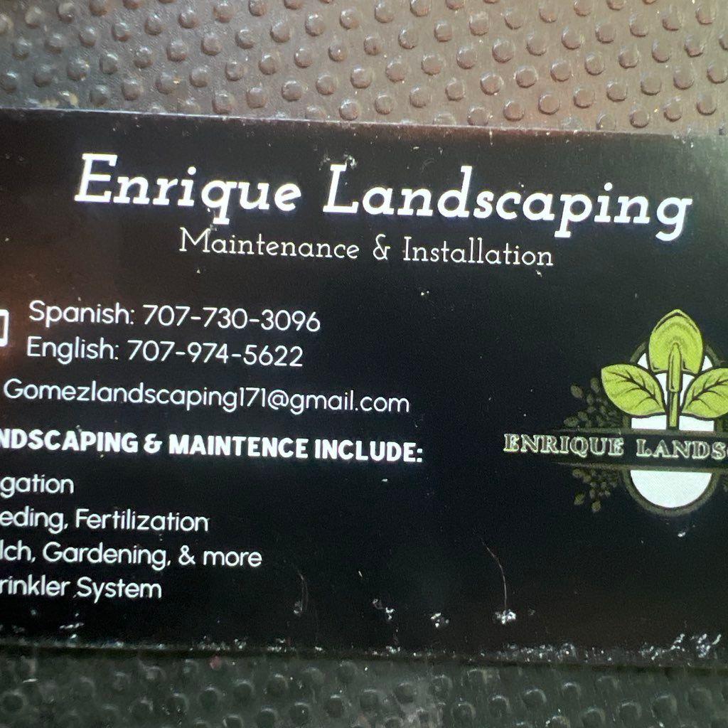 Enrique Landscaping and installation