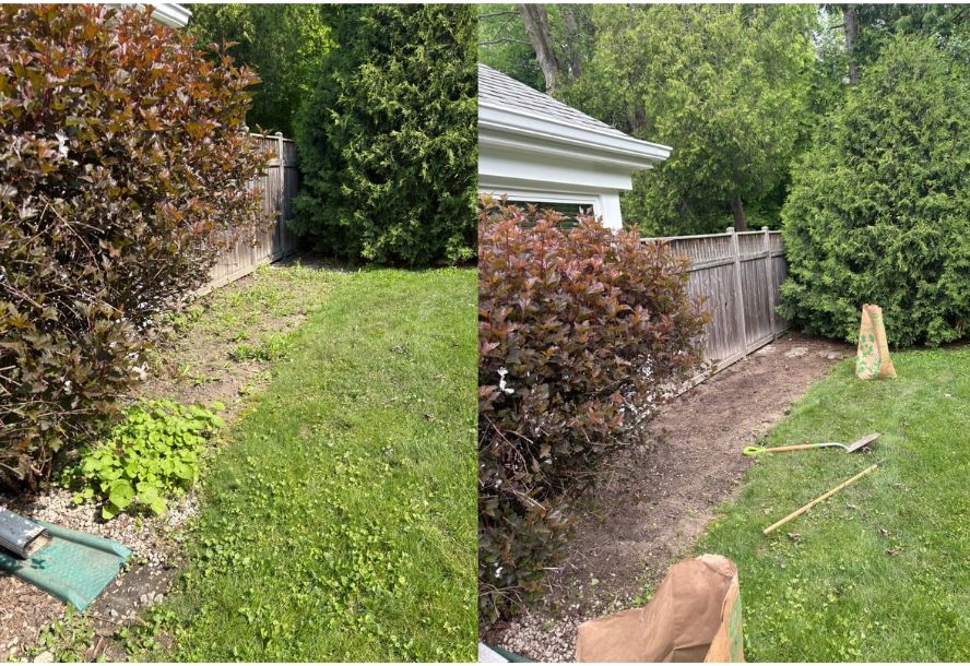 Weed Cleanup.