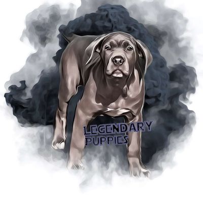 Avatar for Hurdle Notary public