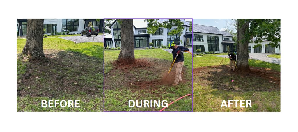 Specialized care for high-value trees — not just r