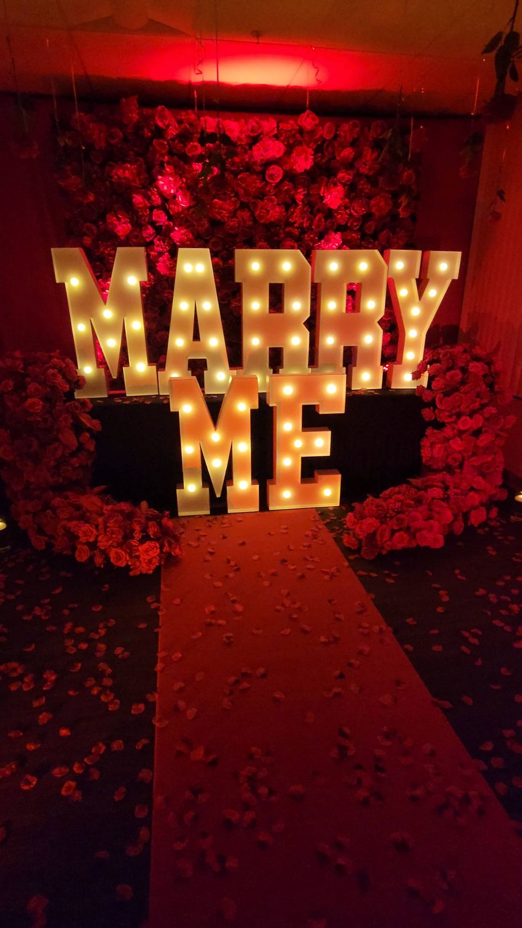 The Ultimate Proposal 