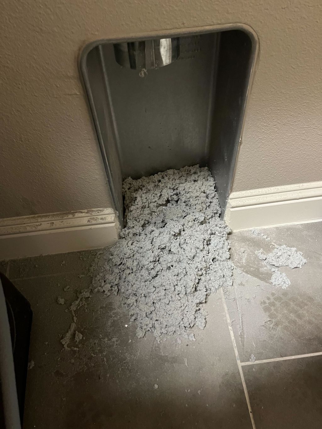 Look at all that lint we cleaned out of a dryer ve