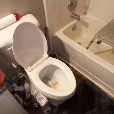 Avatar for Cleaning with purpose
