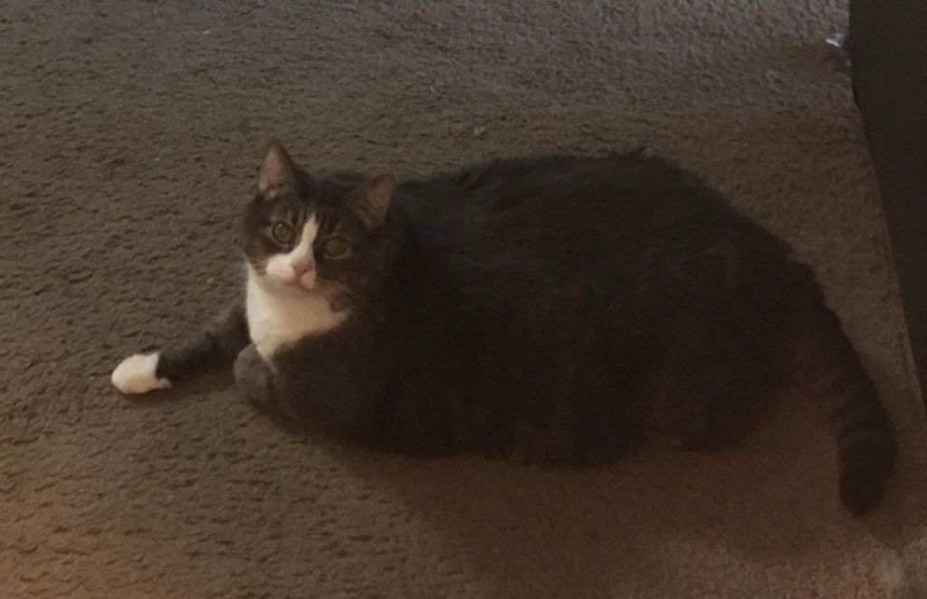 Fred is a sweet girl.