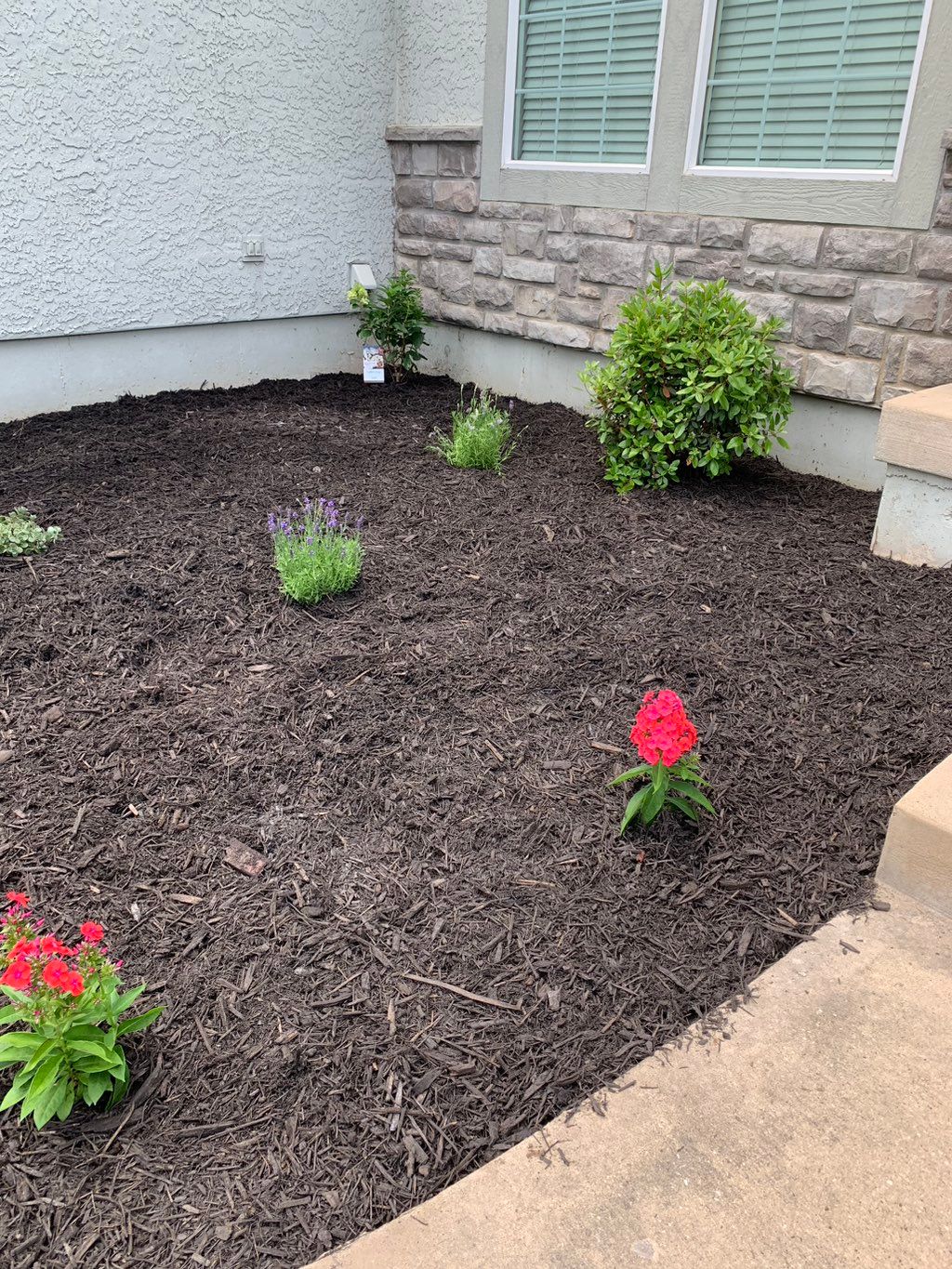 Planting,  cleaning, mulching 