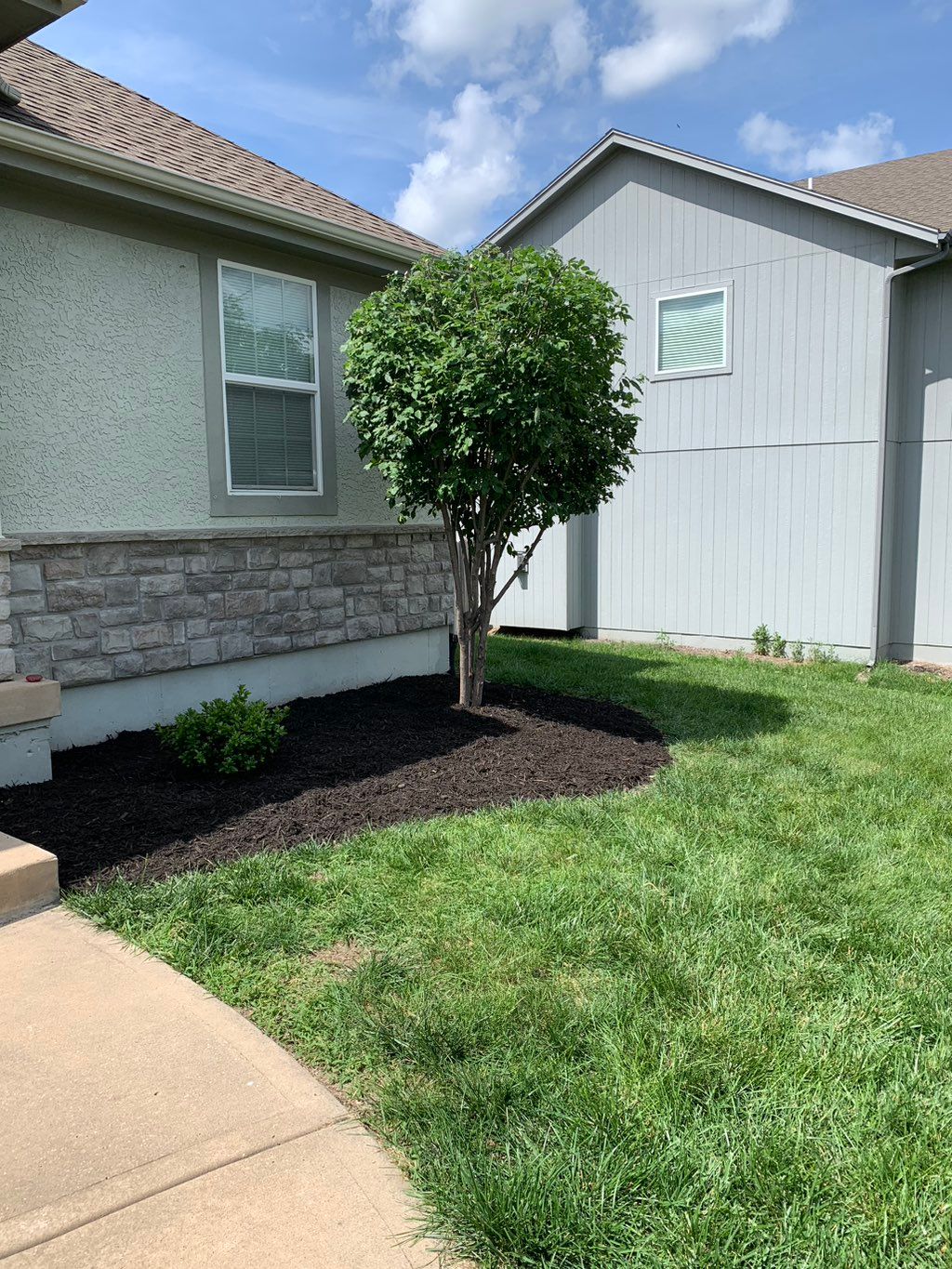 After Mulching, trimming  and planting 