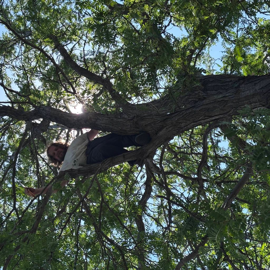 Platinum Landscape&Tree Service