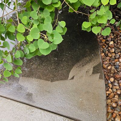 Avatar for Travis pressure Washing