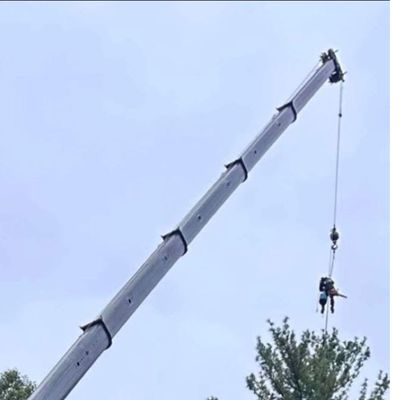 Avatar for ArborPro’s Tree Service