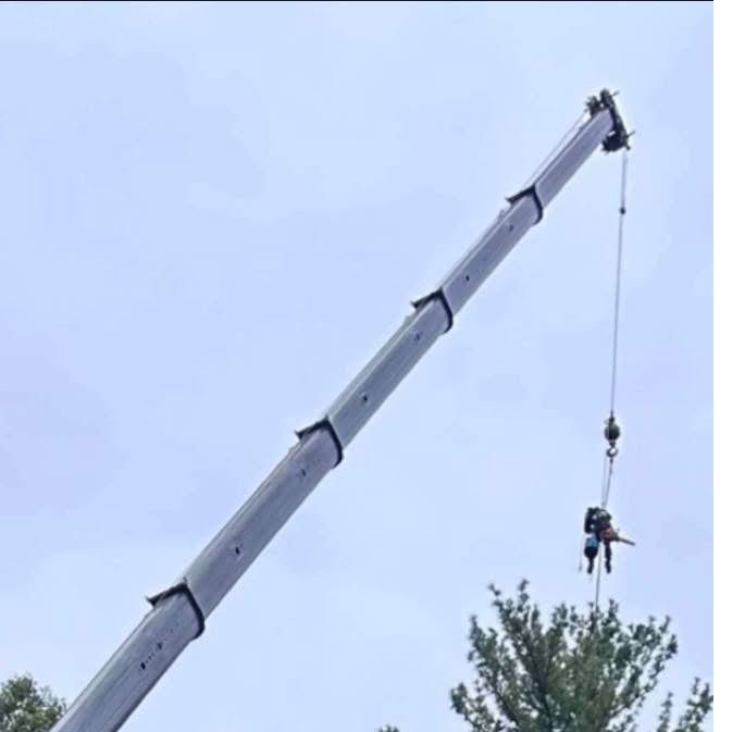 ArborPro’s Tree Service