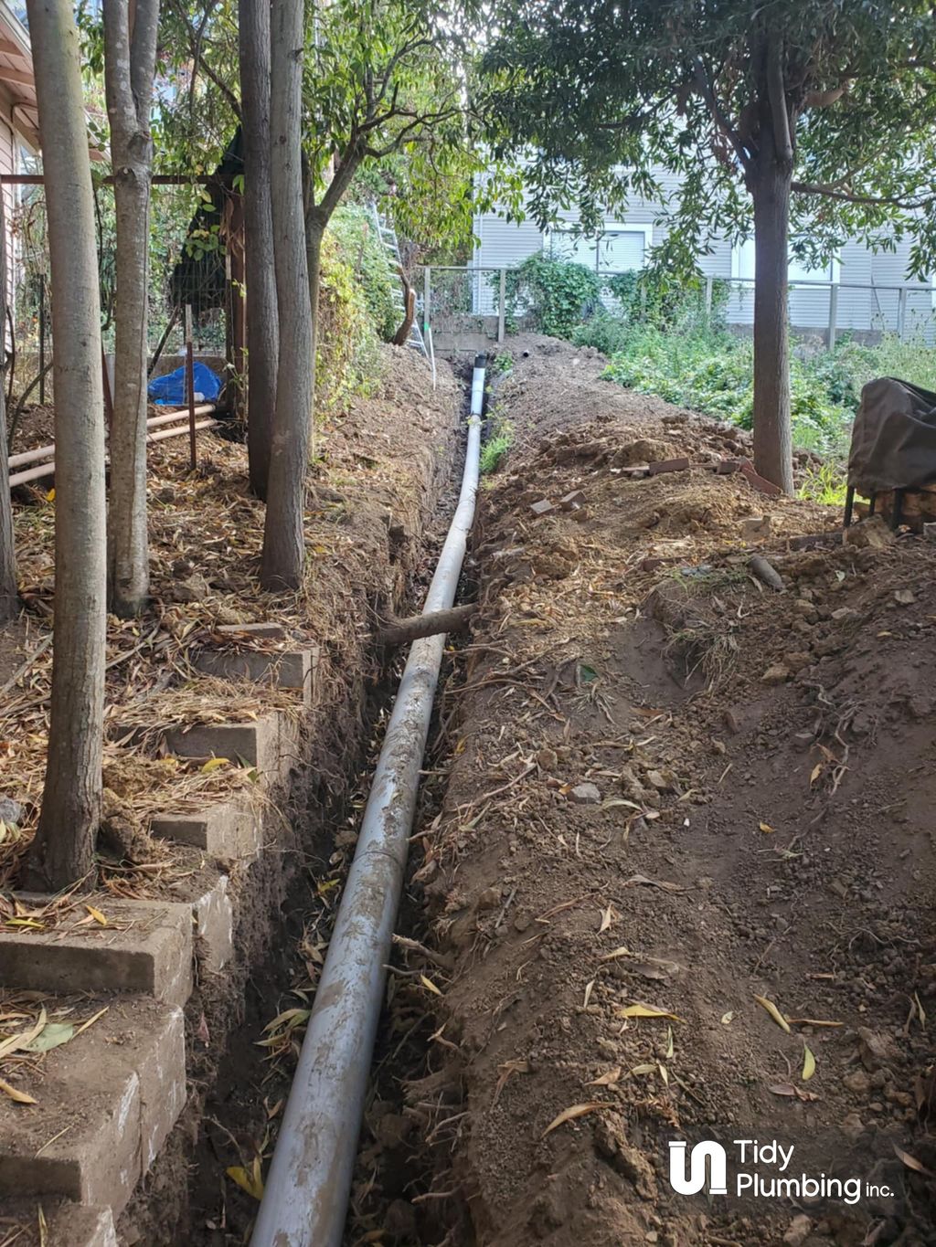 Bad smells and slow drains? Your sewer line needs 