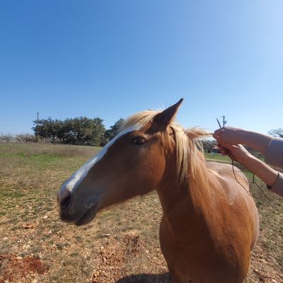 Avatar for Big T Pressure Washing