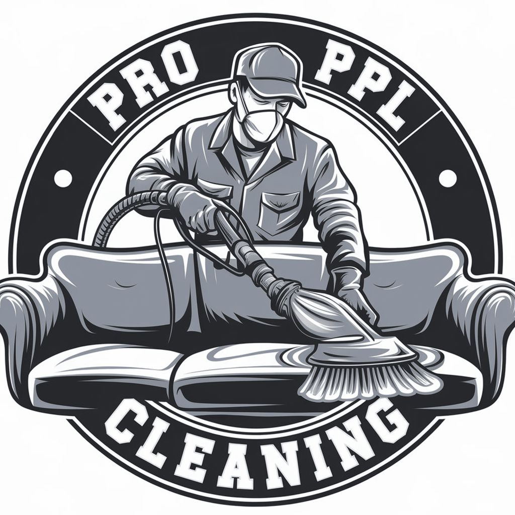 Pro Ppl Cleaning