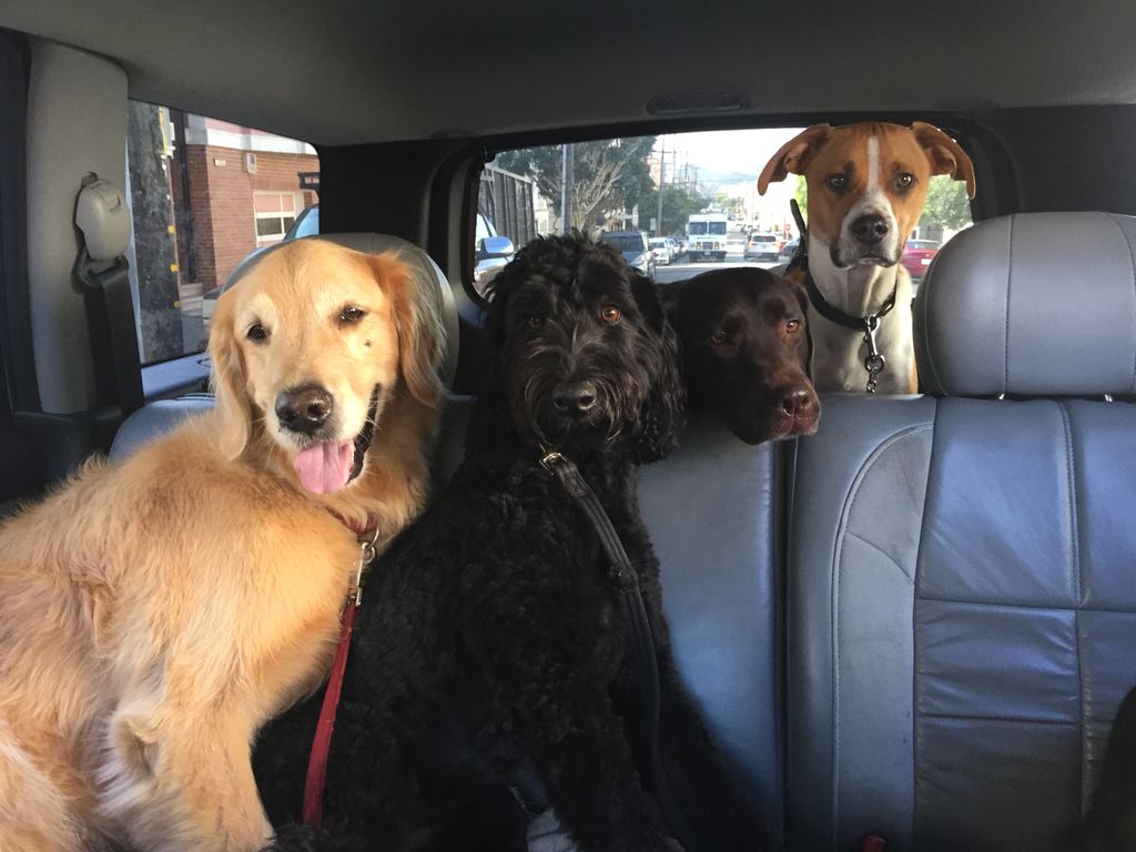 On our way to play!