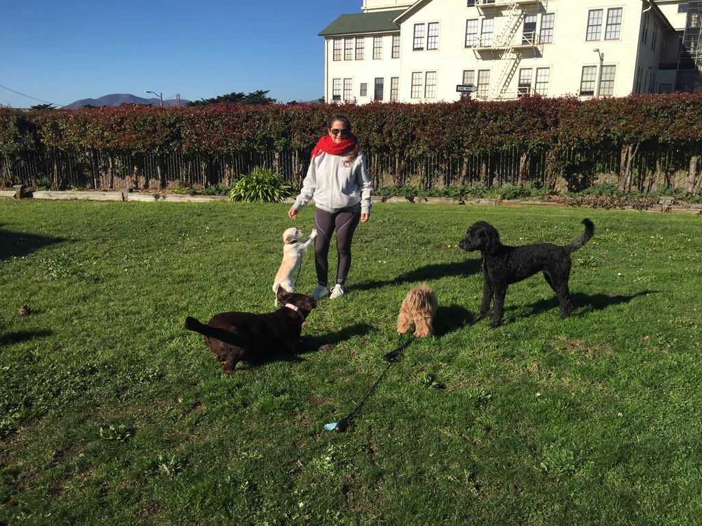 another day to play
