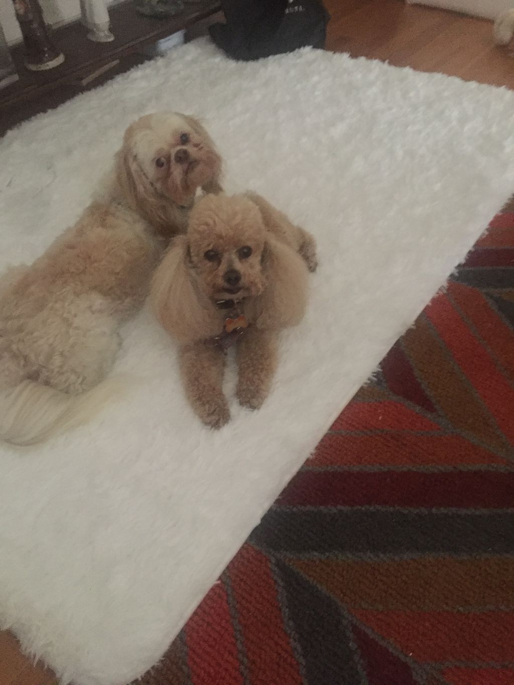 cuties