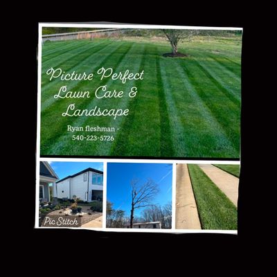 Avatar for Picture Perfect Lawn Care & Landscape