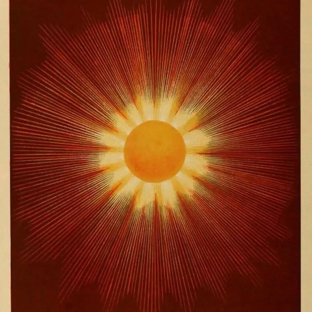 Madera Del Sol
