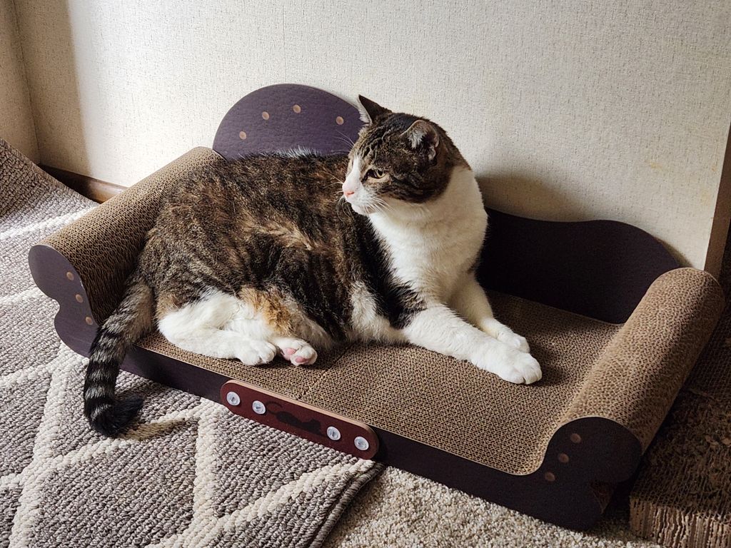 Minnie on her perch