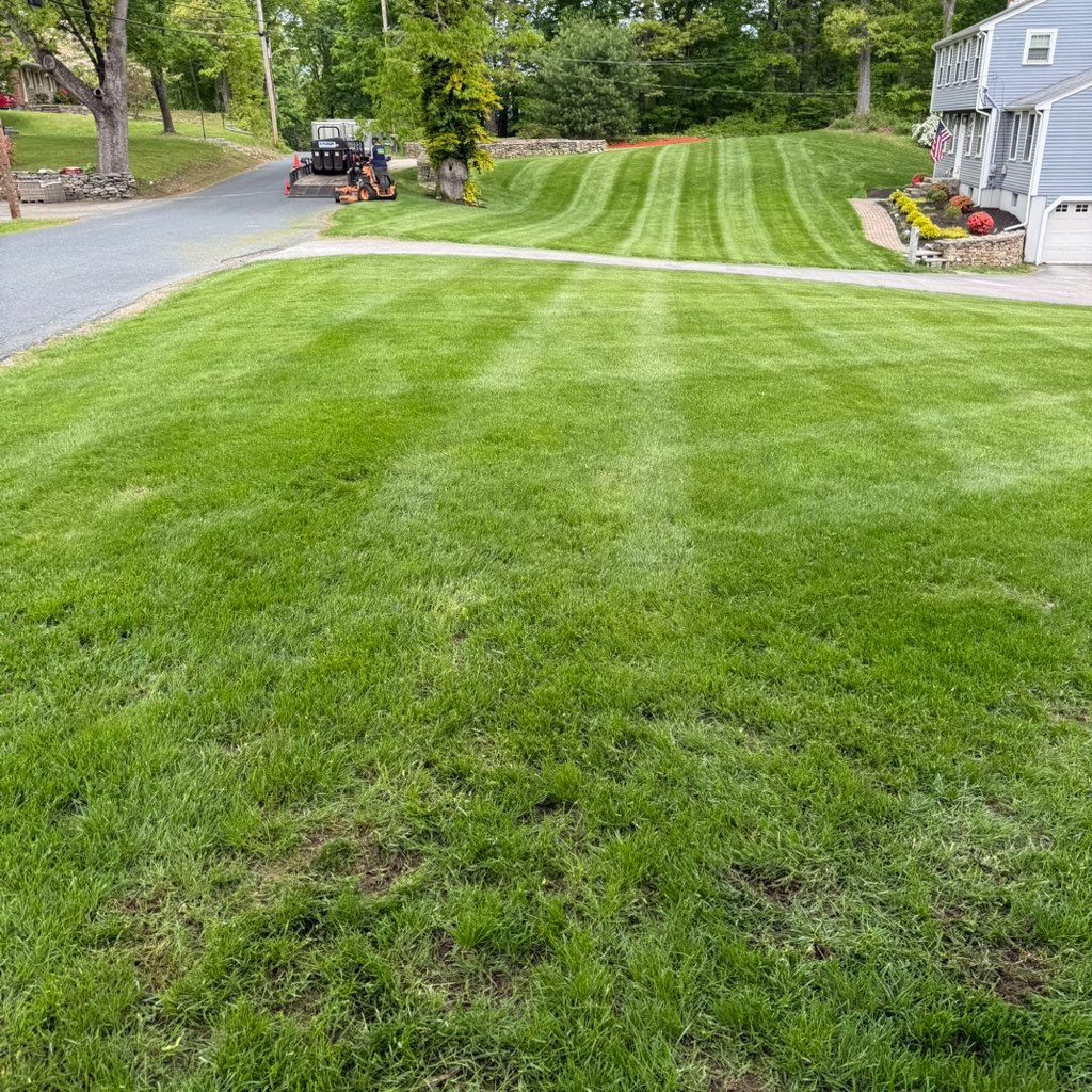 Synergy Landscaping
