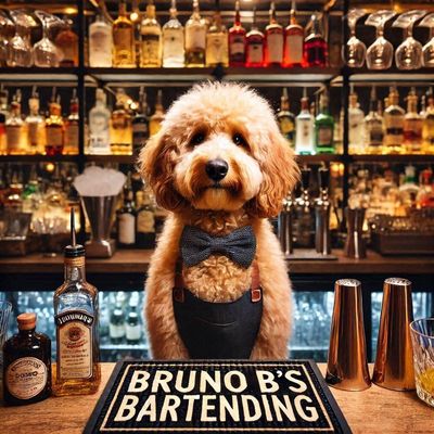 Avatar for Bruno B's Bartending