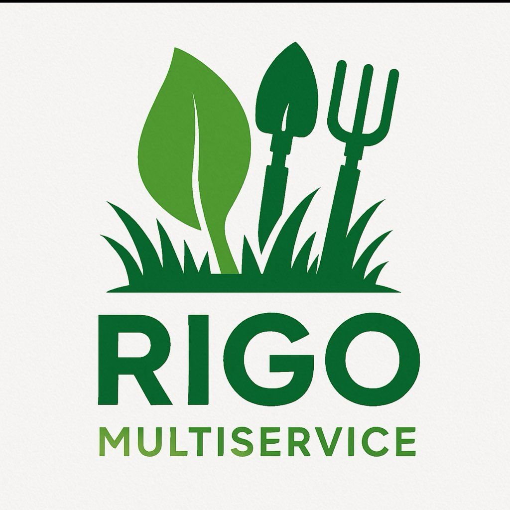 Rigo Multiservices DMV