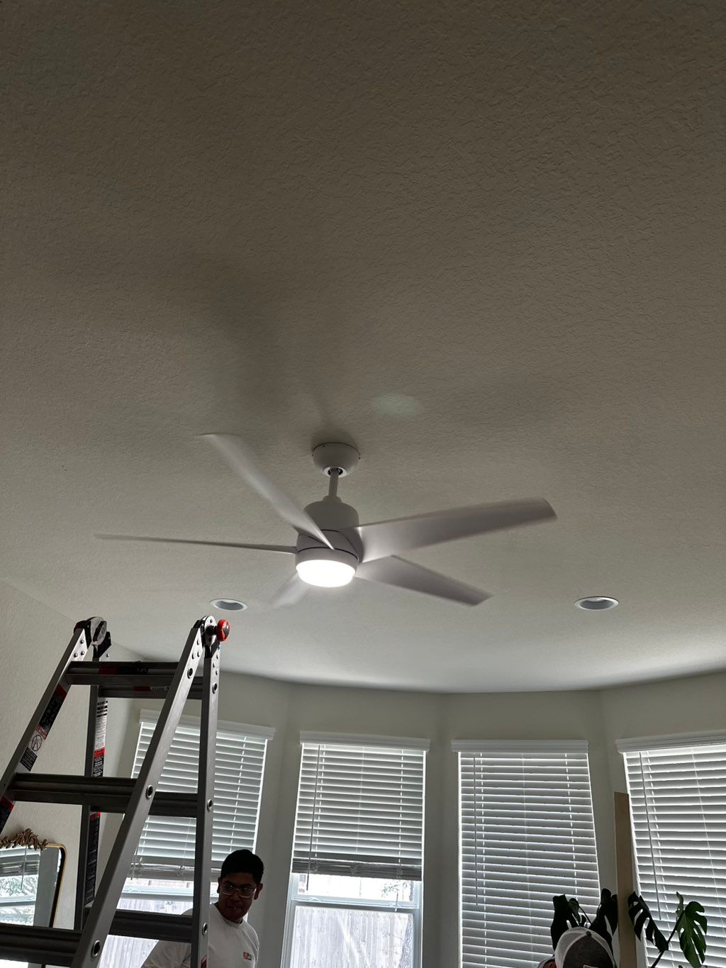 Customer photos